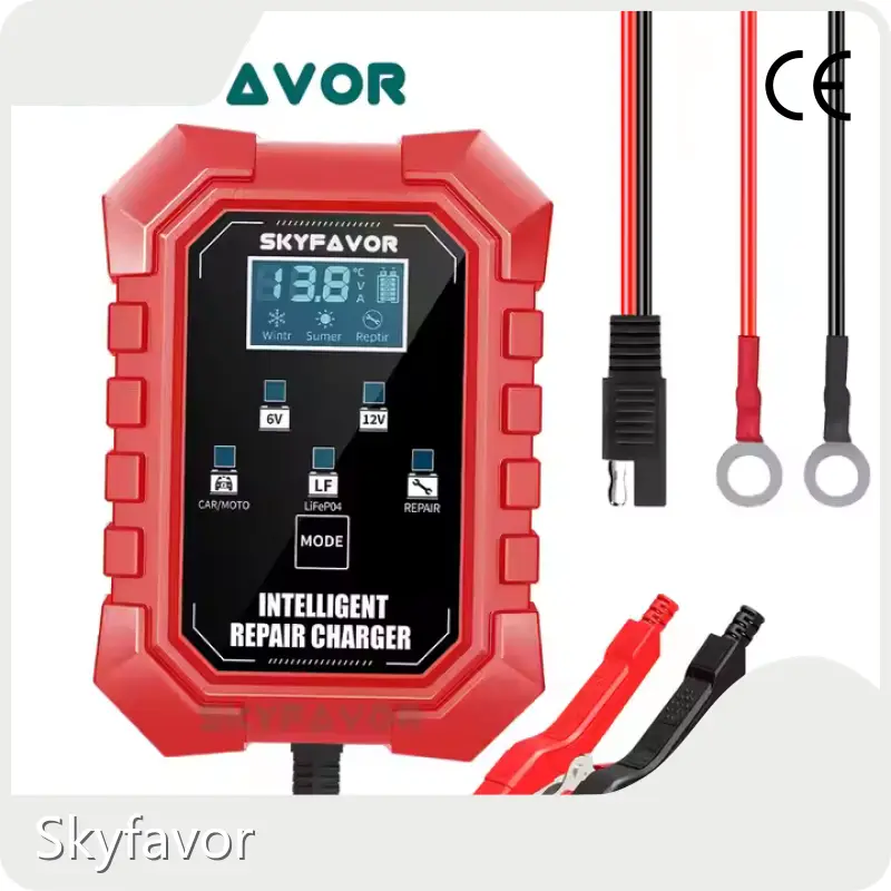 Bmw Battery Charger by SKYFAVOR 1