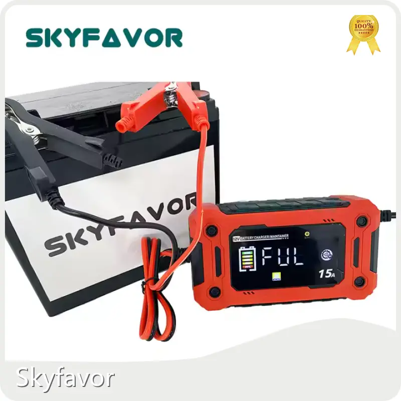 Custom Battery Chargers - - SKYFAVOR-16 1