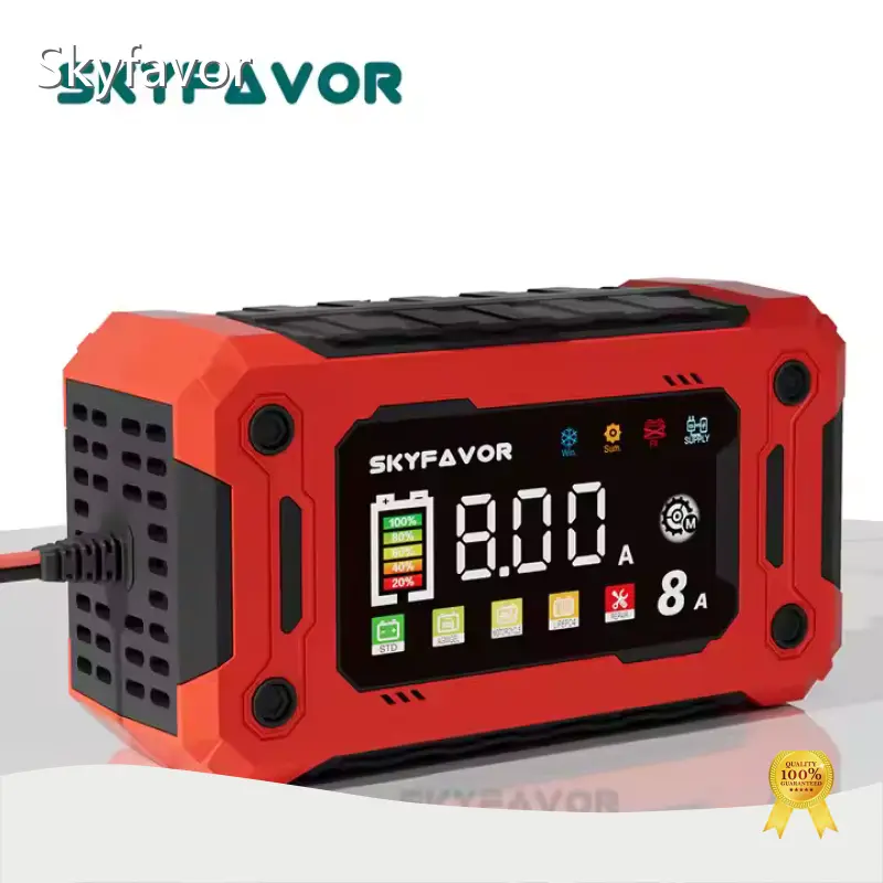 Cart Battery Charger by SKYFAVOR 1