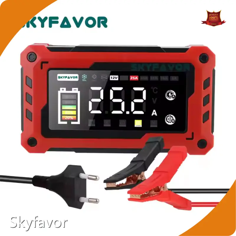 Golf Cart Battery Charger by SKYFAVOR-2 1