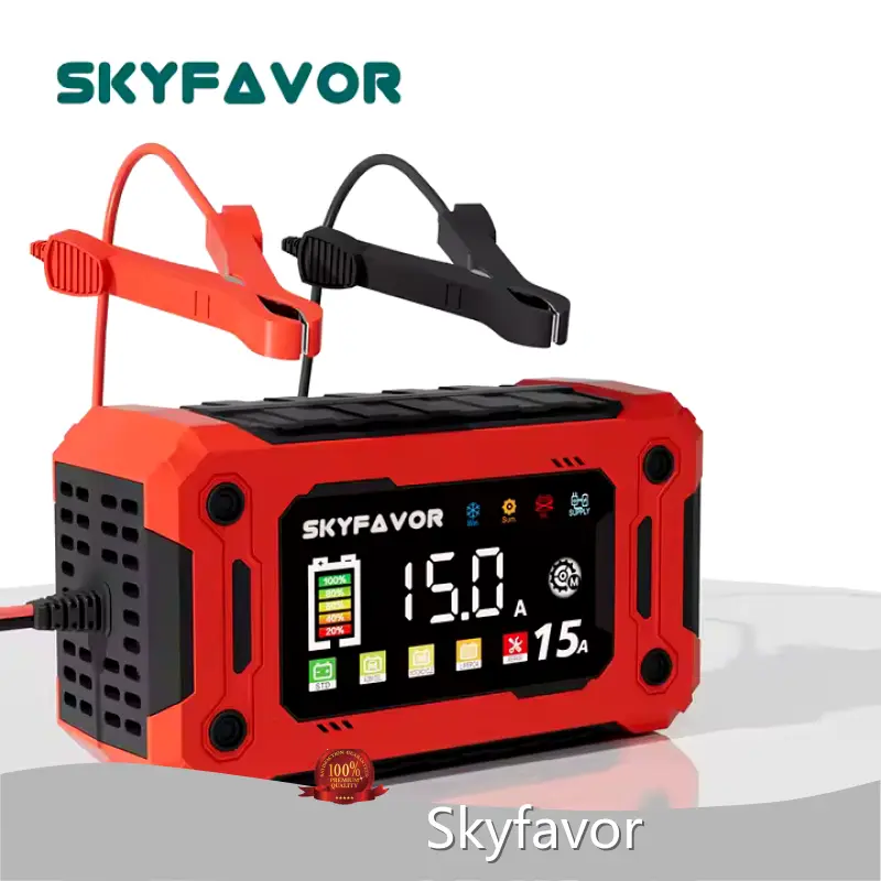 Fast Car Battery Charger by SKYFAVOR 1