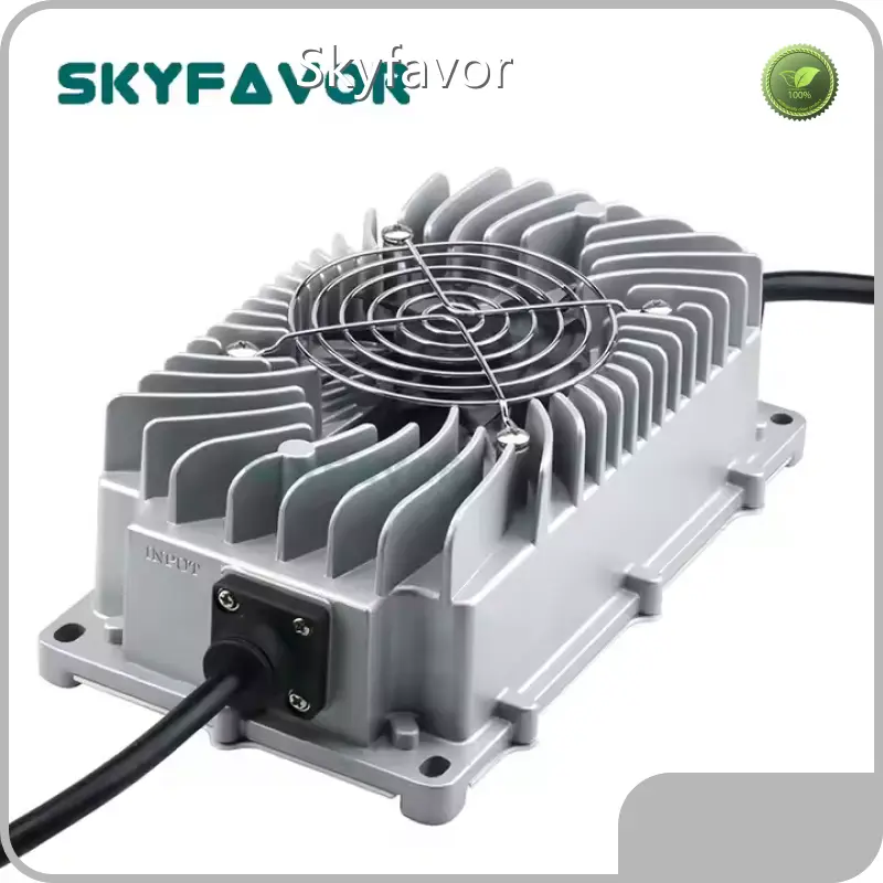 Battery Chargers Manufacturer - - SKYFAVOR-18 1