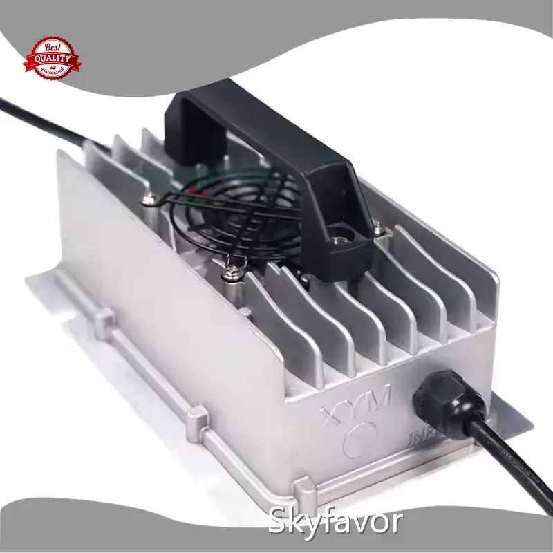 Personalized Battery Charger by SKYFAVOR-8 1