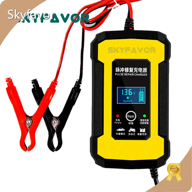 Battery Chargers Manufacturer - - SKYFAVOR-20 1