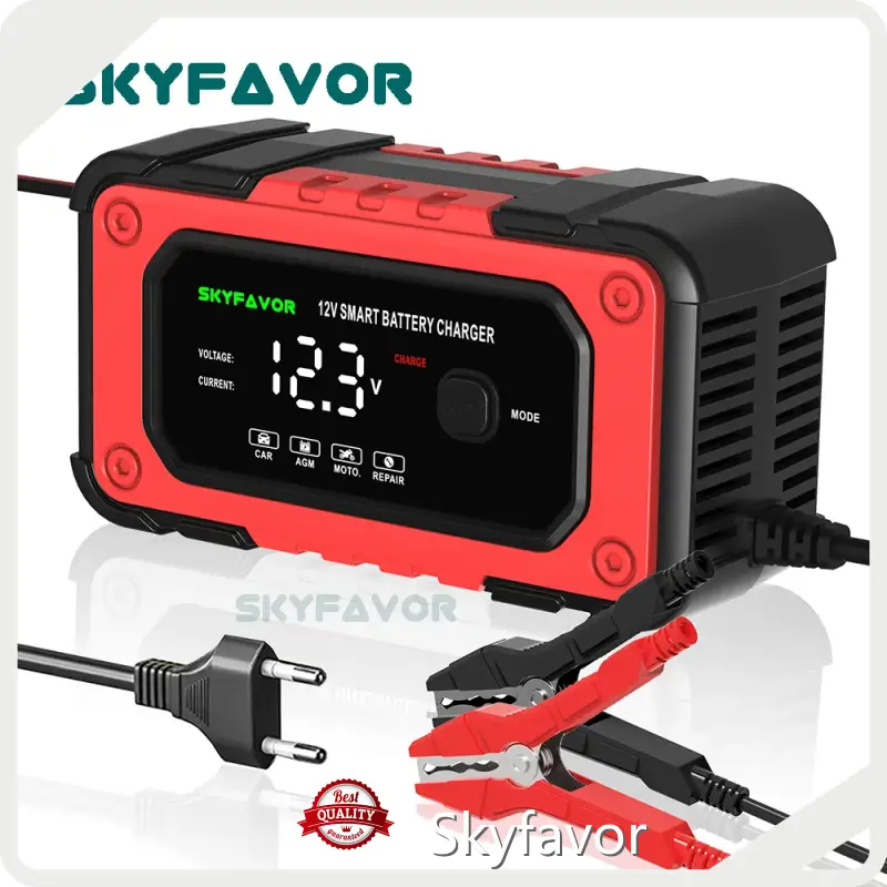 Bmw Battery Charger by SKYFAVOR-1 1