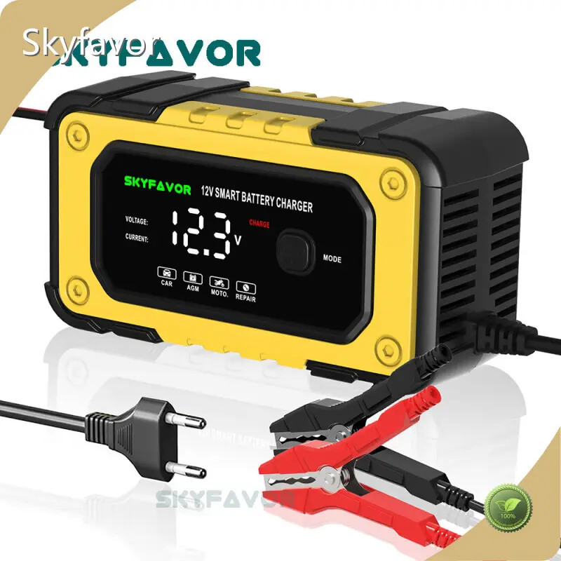 Cat Battery Booster Wholesale - SKYFAVOR 1