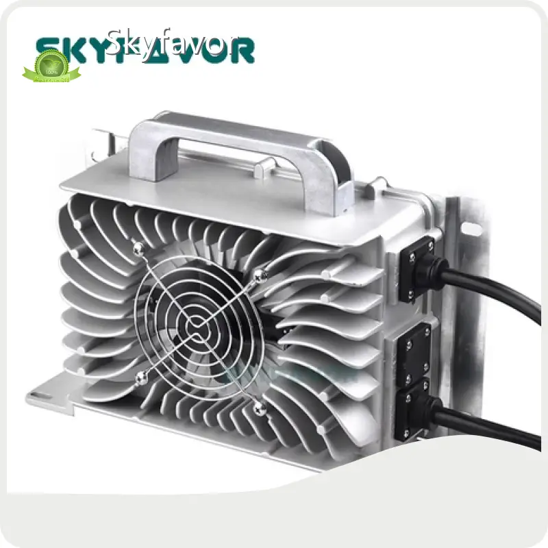 Personalized Battery Charger by SKYFAVOR-11 1