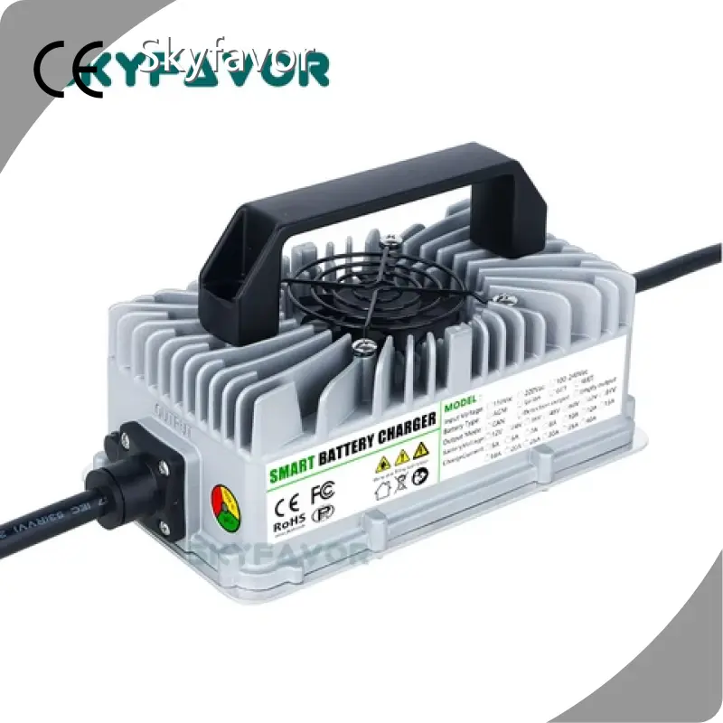 Custom Battery Chargers - - SKYFAVOR-19 1