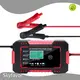 Car Battery Charger Supplier by SKYFAVOR-1 1