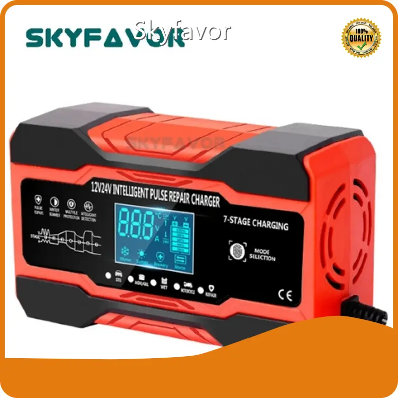 Custom Battery Chargers Wholesale - SKYFAVOR 1