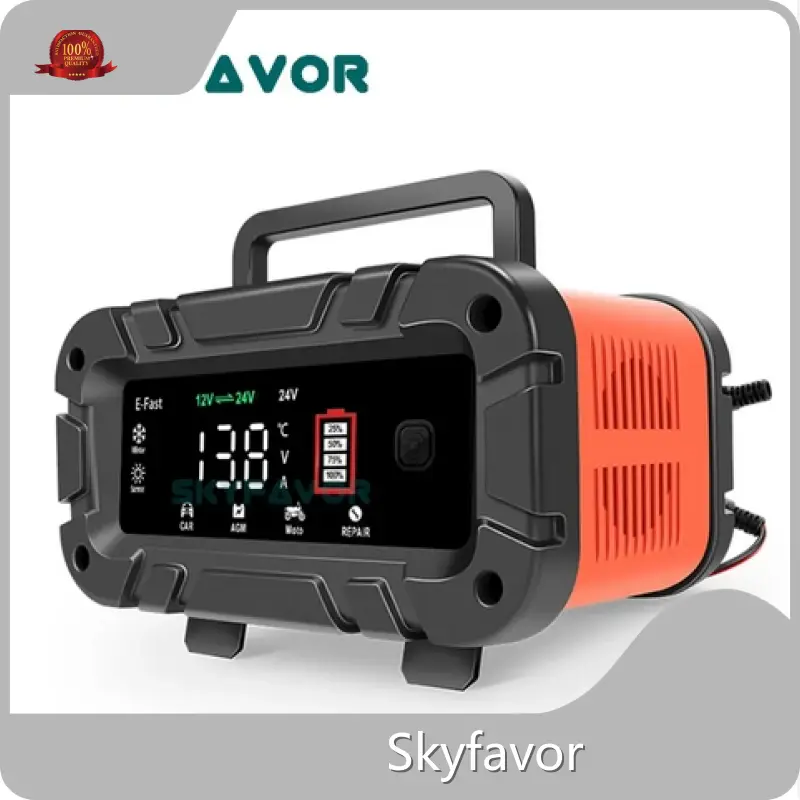 Best Auto Battery Charger - - SKYFAVOR-2 1