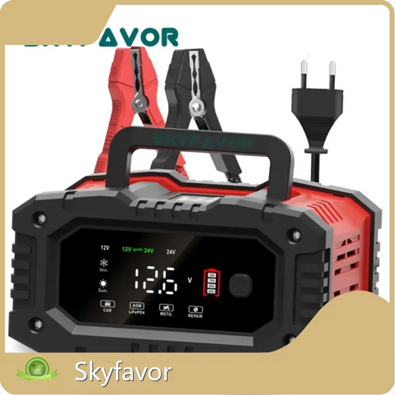 Bmw Battery Charger by SKYFAVOR-2 1