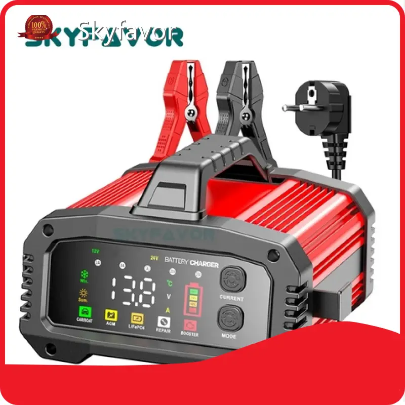 Bmw Battery Charger Wholesale - SKYFAVOR 1