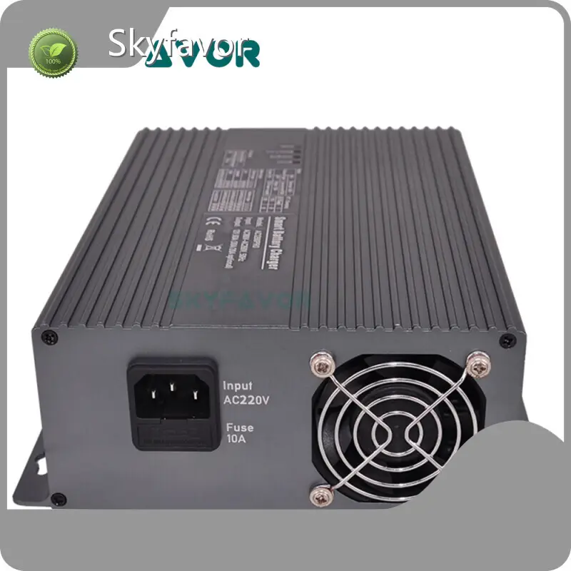 Smart Battery Charger Wholesale - SKYFAVOR 1