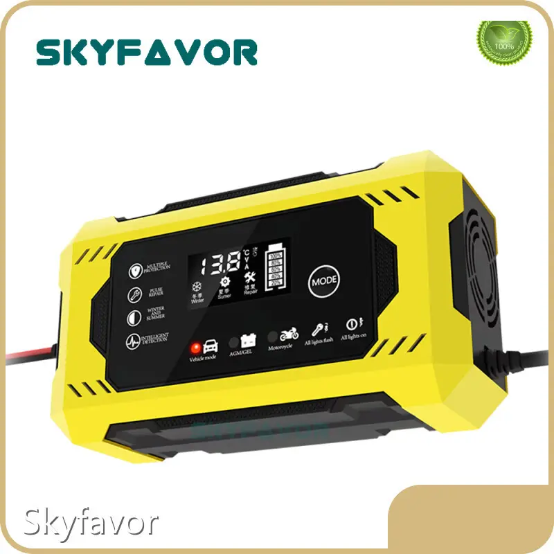 Golf Cart Battery Charger Wholesale - SKYFAVOR 1