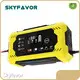 Golf Cart Battery Charger Wholesale - SKYFAVOR 1