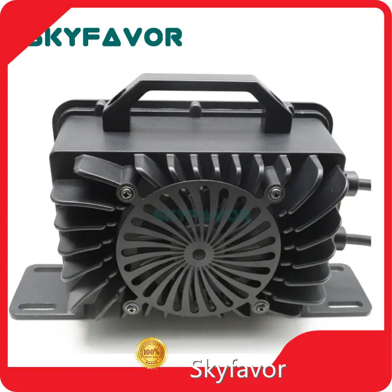 Battery Intelligent Charger Wholesale - SKYFAVOR 1