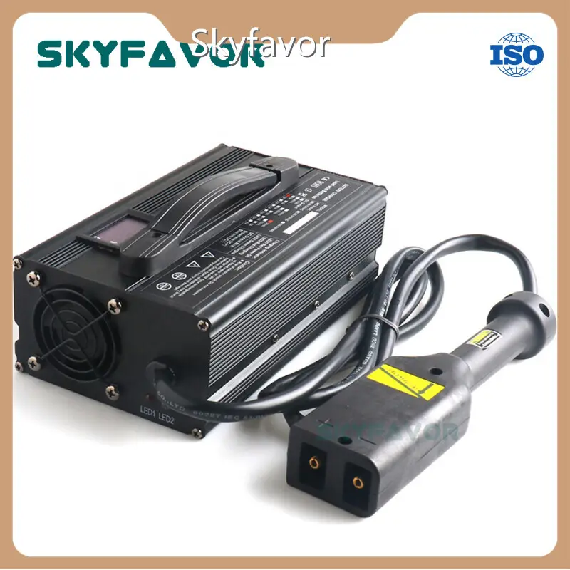Bulk Battery Charger by SKYFAVOR 1