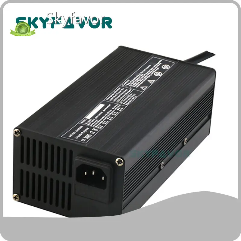 Personalized Battery Charger Wholesale - SKYFAVOR-2 1