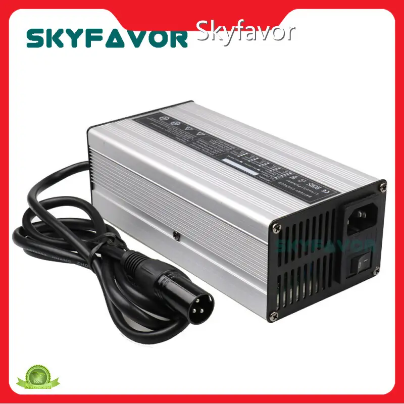 Smart Car Battery Charger - - SKYFAVOR-3 1