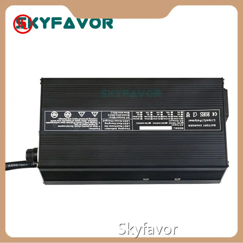 Smart Car Battery Charger - - SKYFAVOR-4 1