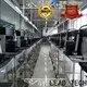 LEAD TECH 자동차 부품 인쇄를 위한 Cij 잉크젯 프린터 회사 1