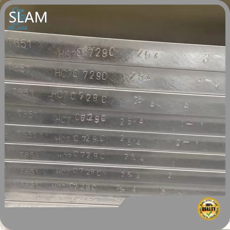 Hot Aluminum Alloy Die Casting Manufacturers SLAM Brand 1