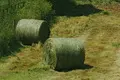 Biodegradable Bale Wrap by AGRI Wrap 5