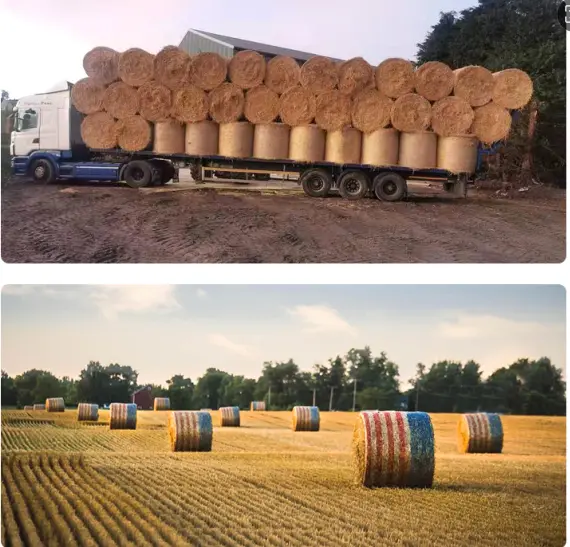AGRI Wrap Bale Netwrap Bale Netwrapwith Good Price 3