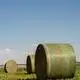 Factory Price Hay Net Wrap Hay Net Wrap Company 2