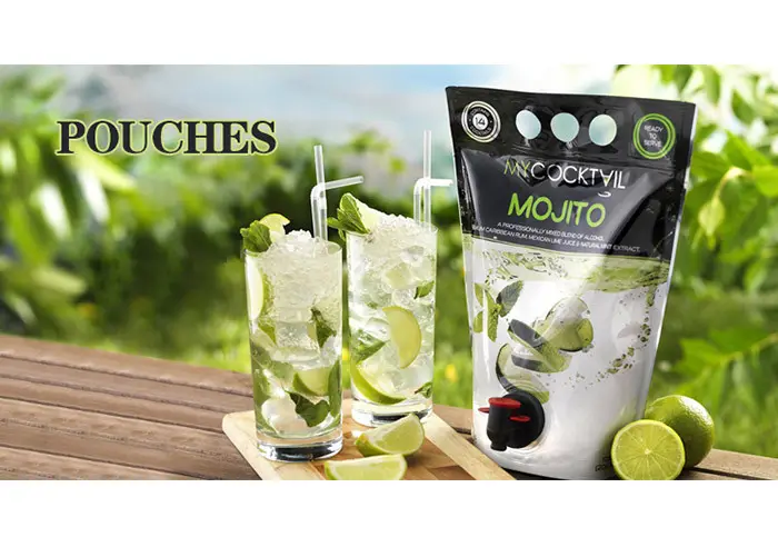 Plastic Stand Up Pouch Price List 4