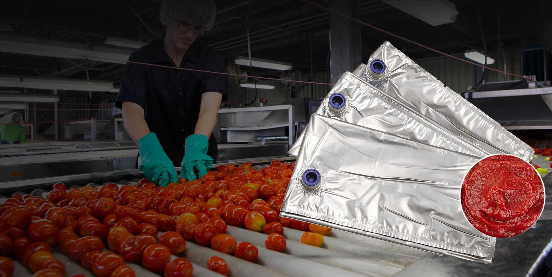 Liquid flexible packaging field expert
