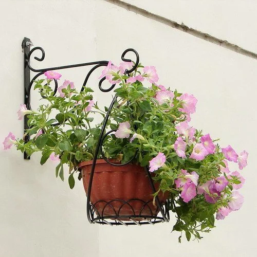 Supports pour plantes à suspendre au mur Fer forgé pour décoration murale -XHD 1
