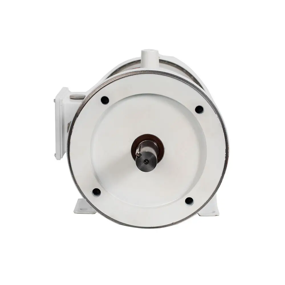 Professional1000w Wheel Hub Motor 2