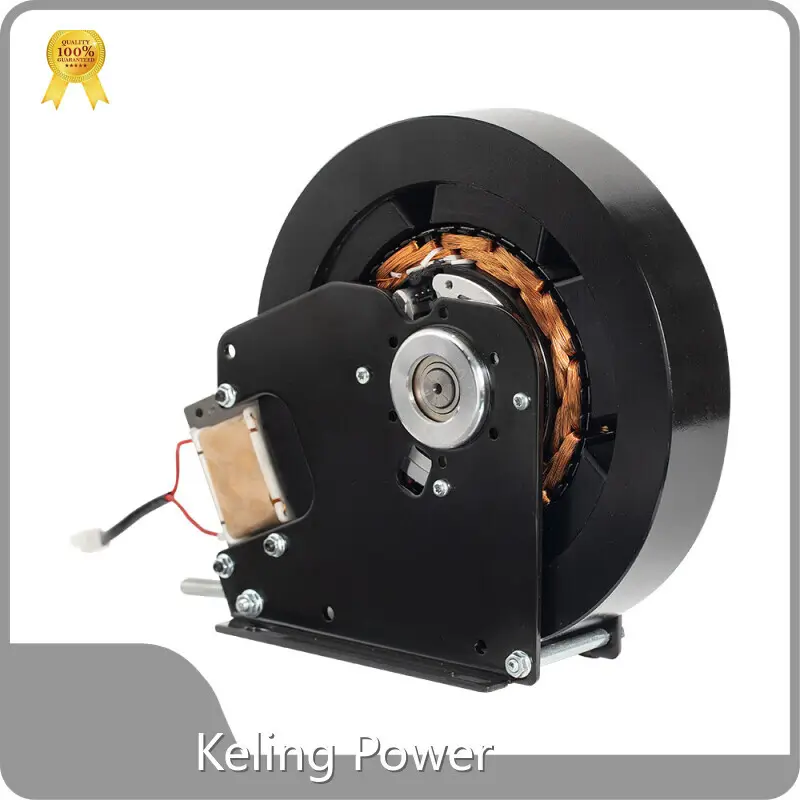 Hub Motor Manufacturer Factory 1