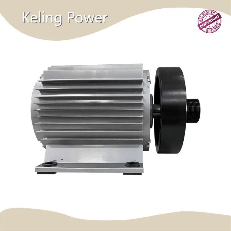 Direct Drive Hub Motor From China 1