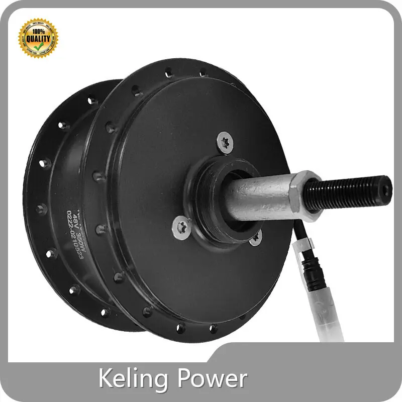 Durable Electric Motor Supplier Manufacturer 1