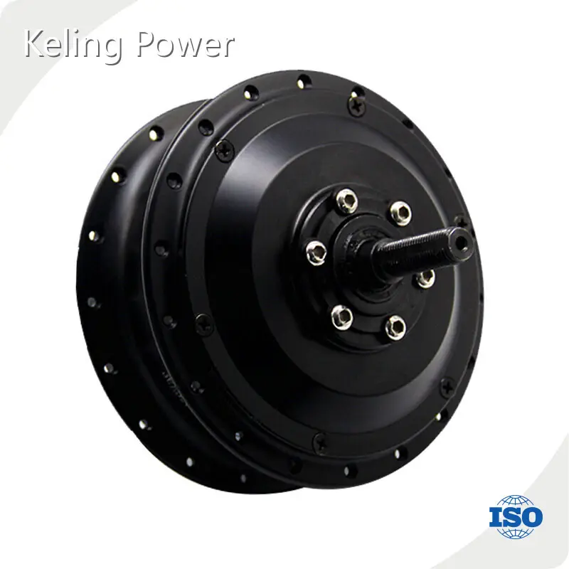 Durable Hub Wheel Motor Series 1