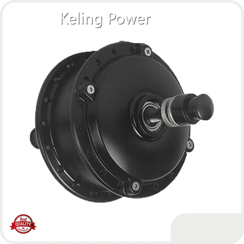 High End 2000w Electric Bike Motor Factory Price 1