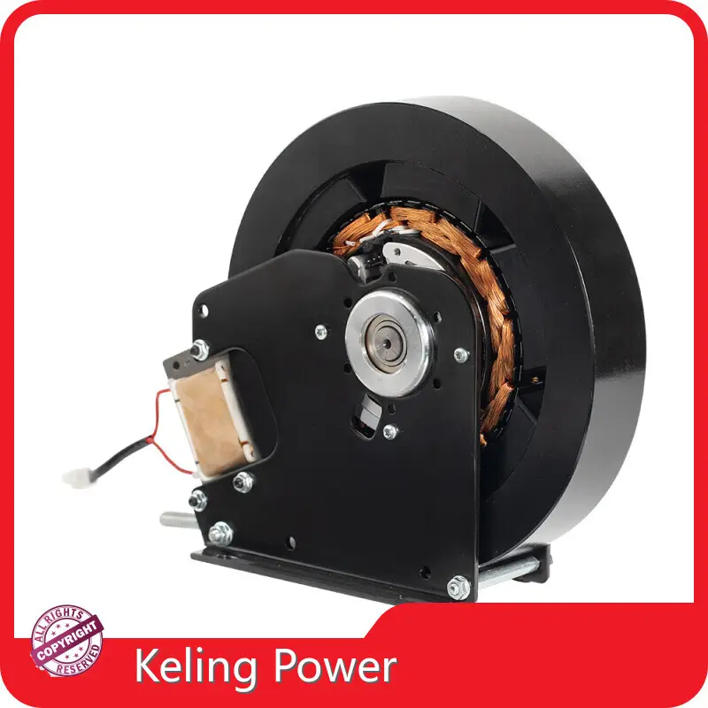 Electric Wheel Hub Motor Supplier 1
