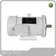Professional1000w Wheel Hub Motor 1