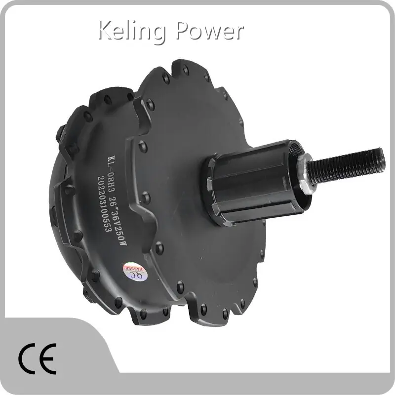 Factory Direct Electric Bike Hub Motor for Sale Electric Bike Hub Motor for Sale Company 1