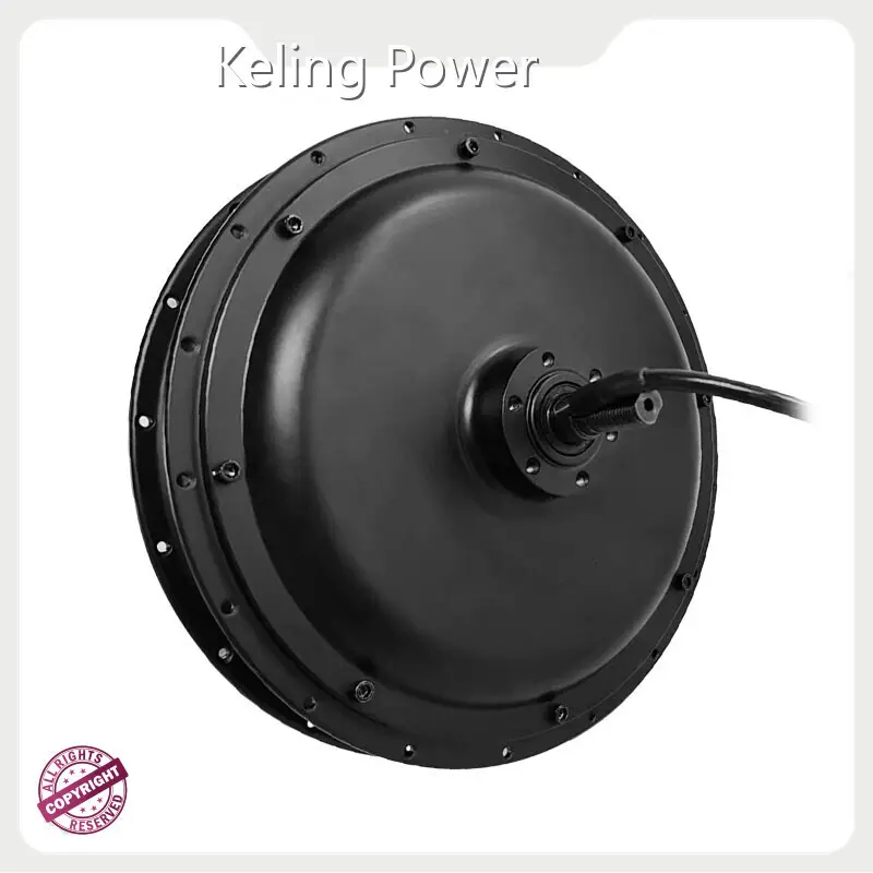 Electric Bike Hub Motor for Sale Made in China 1