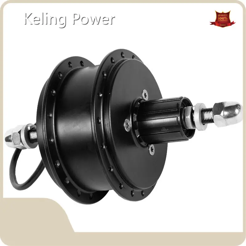 Direct Drive Hub Motor with Custom Services 1
