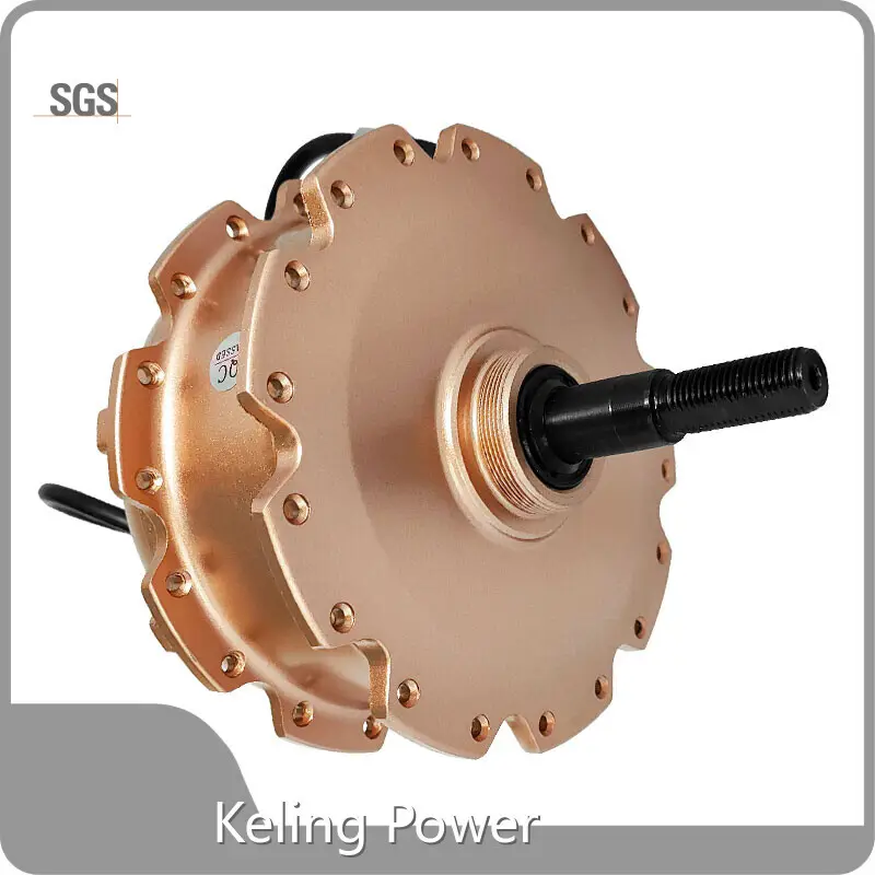 Cost-Effective Dc Electric Motors Supplier 1