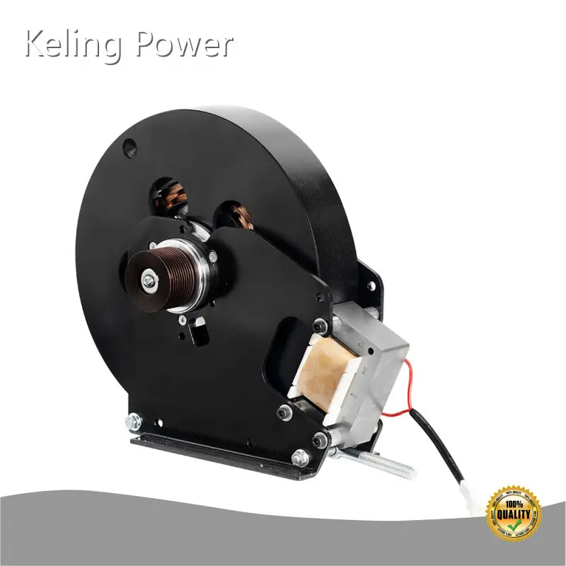 Professional Electric Hub Motor Price List 1