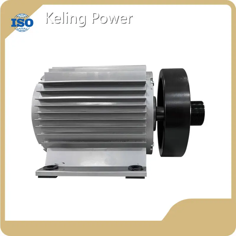 Hot Sale Electric Wheel Hub Motor Factory Price 1