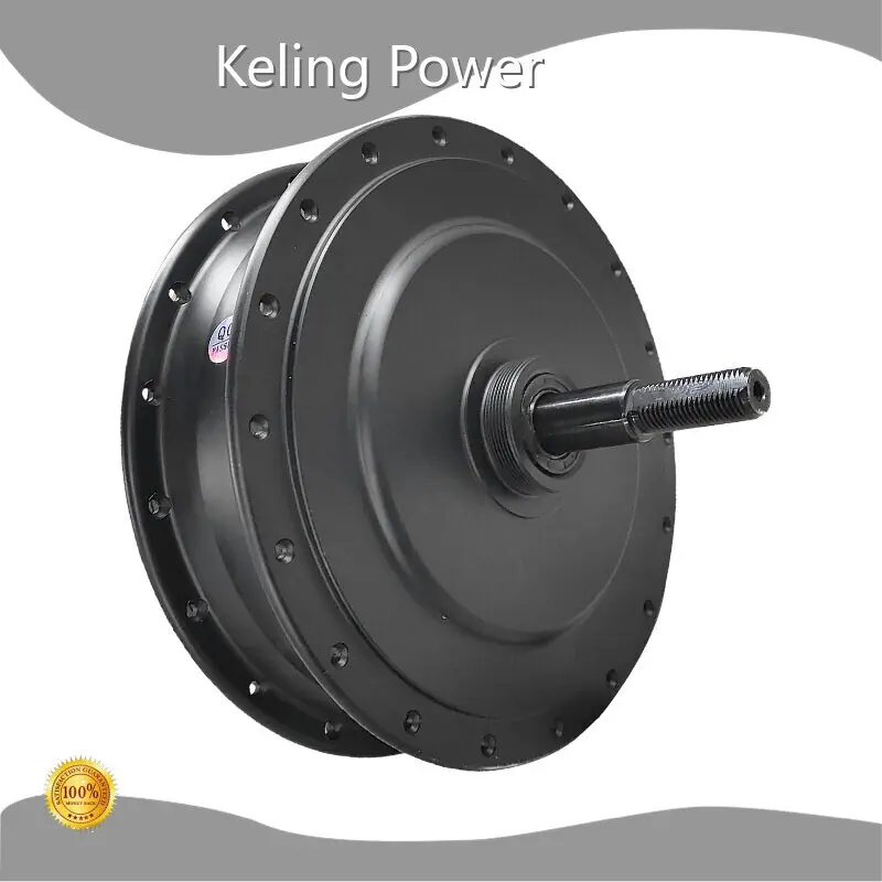 500 Watt Ebike Motor Wholesale - Keling Power 1