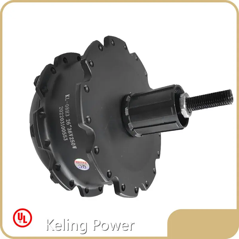 Good Selling Hub Drive Motor Made in China 1