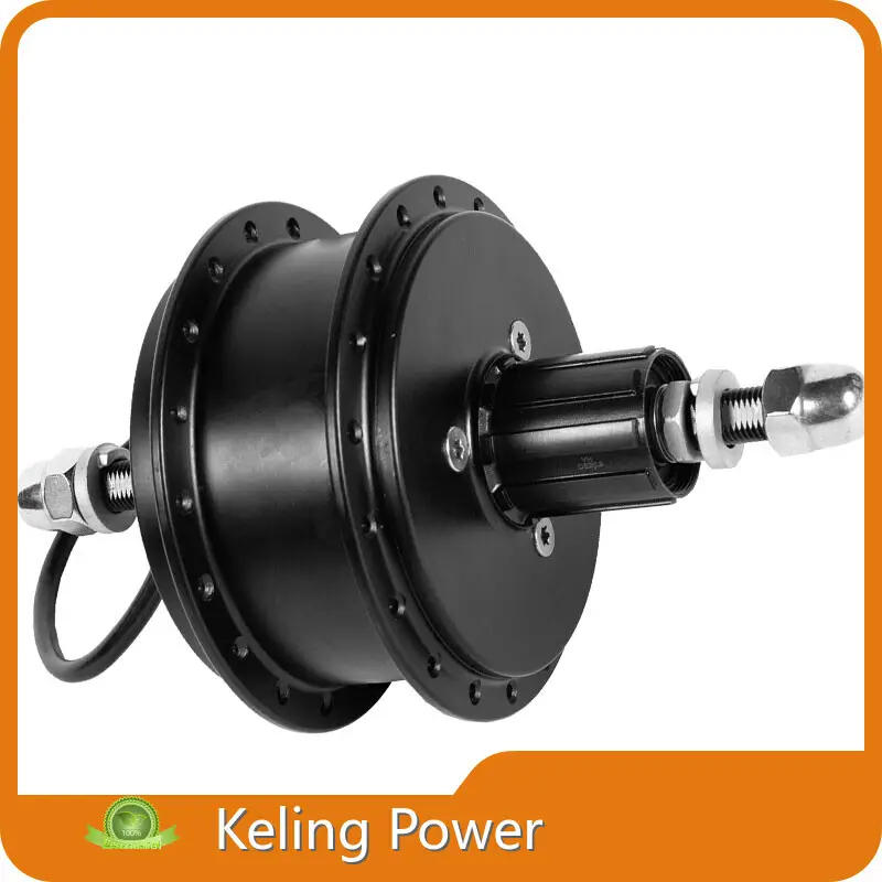 Electric Bike Hub Motor for Sale by Keling Power 1